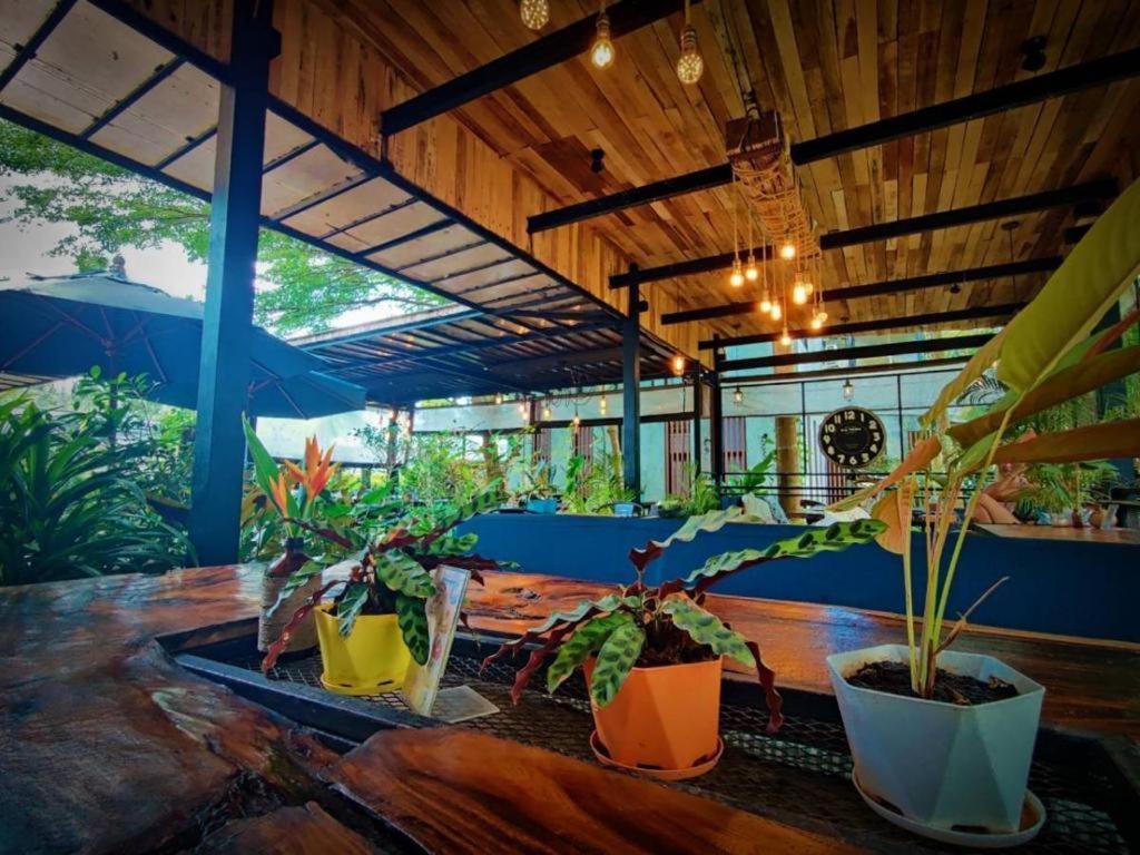 The Willow Phangan Ko Pha Ngan Exterior foto