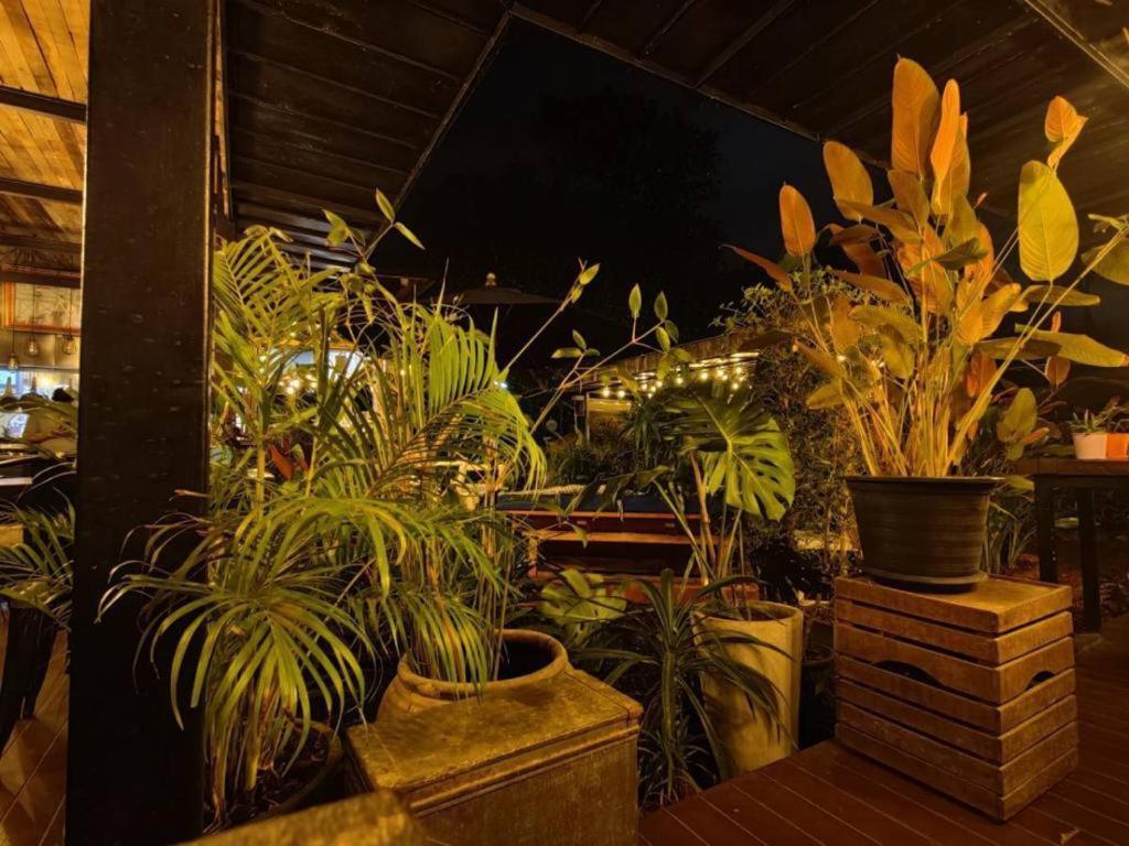 The Willow Phangan Ko Pha Ngan Exterior foto